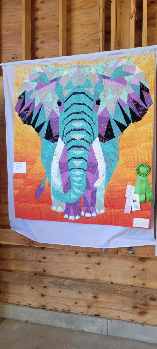 Quilts-in-the-Barn_Michele_Scot_Peoples-Choice-and-Best_Use_of_Colour